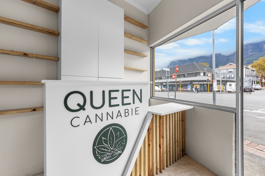 To Let commercial Property for Rent in Rondebosch Western Cape